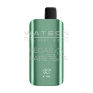 Электронная сигарета HQD GLAZE 12000 (Ежевика) купить с доставкой в СПб, по России и СНГ. Цена. Изображение №9.