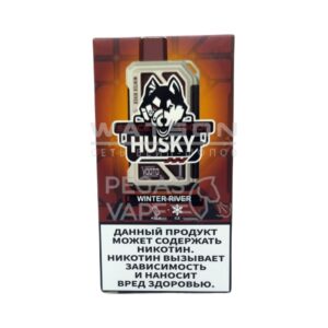 Электронная сигарета HUSKY SPACE 18000 Chilly kiwi (Kиви и лëд) купить с доставкой в СПб, по России и СНГ. Цена. Изображение №6.